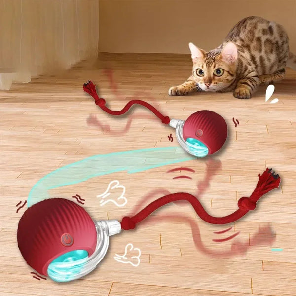 Smart Rolling Cat Toy